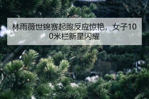 lin-yu-wei-shi-jin-sai-qi-pao-fan-ying-jing-yan-nv-zi-mi-lan-xin-xing-shan-yao-2-929.jpg